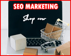 freelance web designer r2
