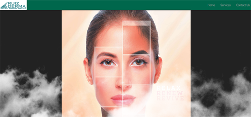 freelance web designer p5