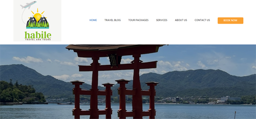 freelance web designer p6